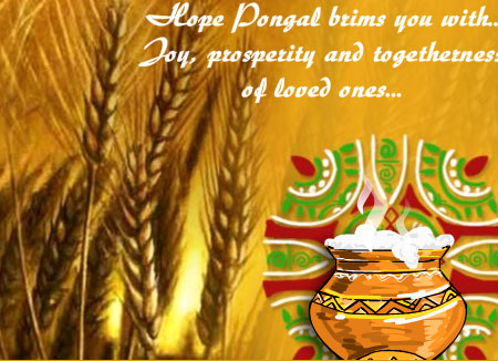 Blessed pongal
